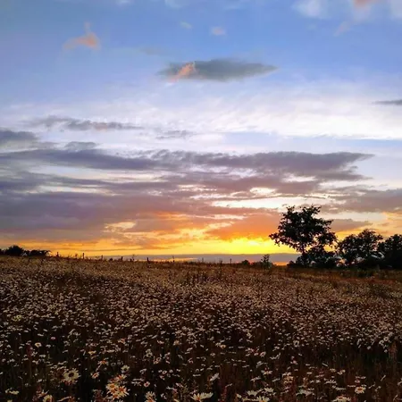 Holiday home In Auvergne Near Cascade Gour *