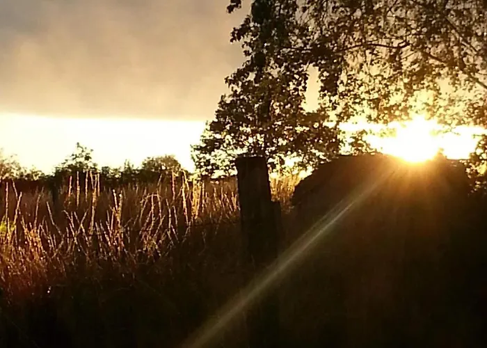 In Auvergne Near Cascade Gour Hébergement de vacances