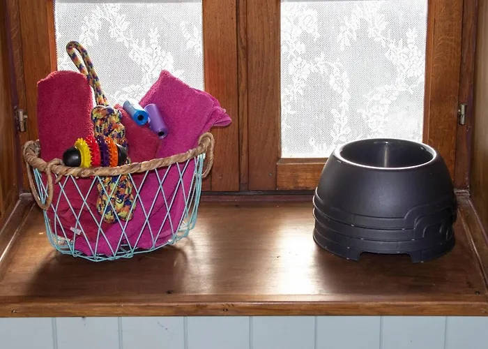 In Auvergne Near Cascade Gour Hébergement de vacances