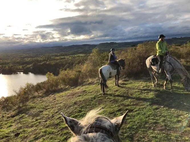 In Auvergne Near Cascade Gour Hébergement de vacances *
