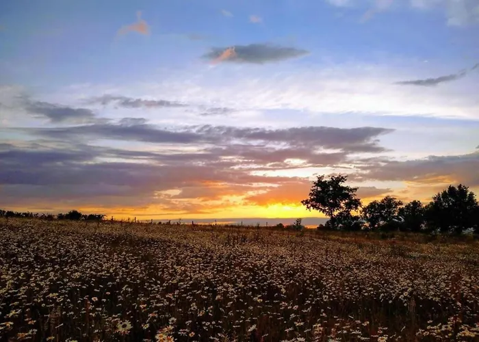 Hébergement de vacances In Auvergne Near Cascade Gour *